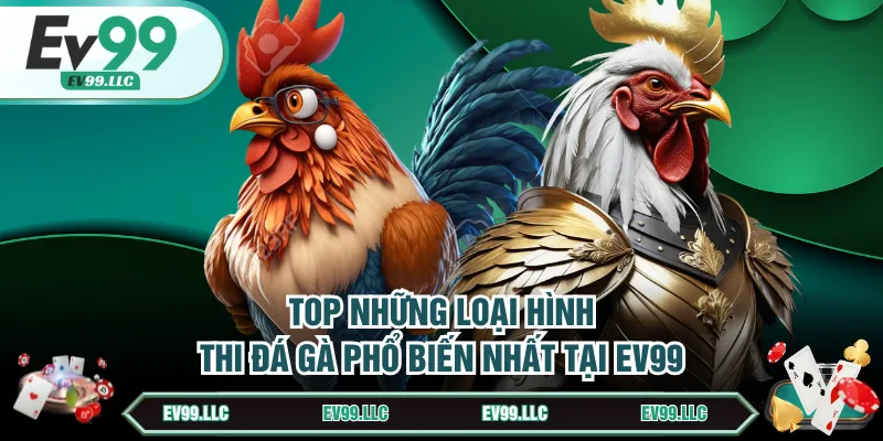 Top những loại hình thi đá gà phổ biến nhất tại EV99